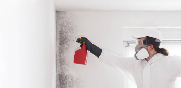 Best Mold Testing  in Genoa, OH